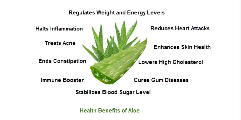 All About Aloe Vera | Dark spots on face, Spots on face, Dark spots on skin