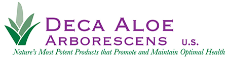 Deca Aloe Arborescens