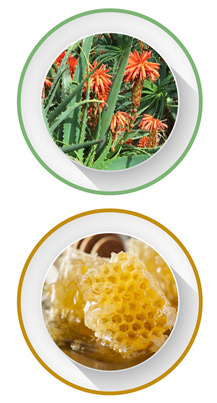 Aloe Vera leaves and honeycomb with honey