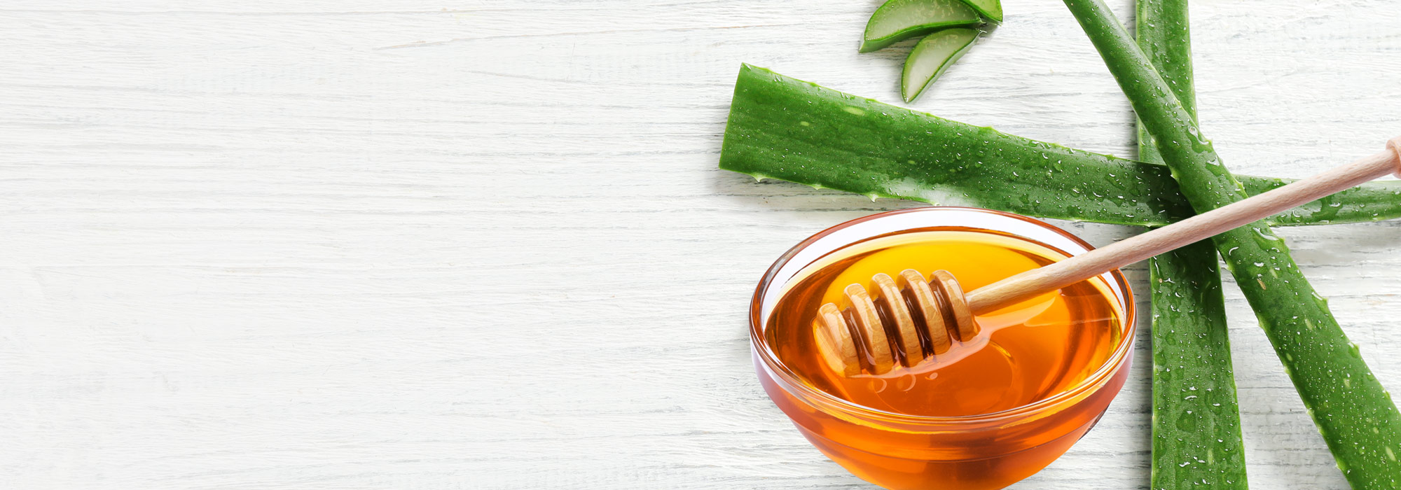 Aloe Arborescens Juice and Aloe Supplements Aloe Products Center